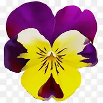 ˮ�ʻ� ���� ʪī-������