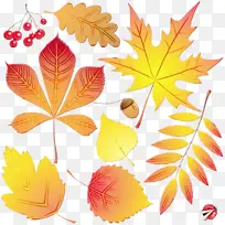 水彩画 油漆 湿墨-空若网 水彩画 油漆 湿墨-空若网