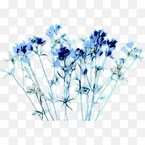 波普艺术 复古 开花植物-空若网 波普艺术 复古 开花植物-空若网