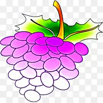 葡萄 无核水果 葡萄科-空若网 葡萄 无核水果 葡萄科-空若网