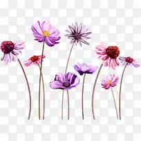 水彩 颜料 湿墨-空若网 水彩 颜料 湿墨-空若网