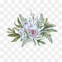 花 植物 开花植物-空若网 花 植物 开花植物-空若网