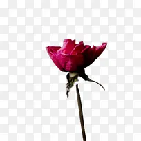 水彩画 颜料 湿墨-空若网 水彩画 颜料 湿墨-空若网