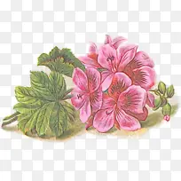 水彩 油漆 湿墨-空若网 水彩 油漆 湿墨-空若网