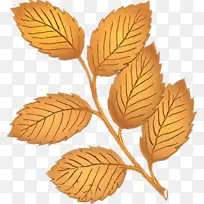 卡通 叶子 植物-空若网 卡通 叶子 植物-空若网