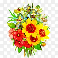 �ɹ���Ʒ�� ����ֲ�� ����-������