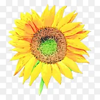 水彩画 颜料 湿墨-空若网 水彩画 颜料 湿墨-空若网