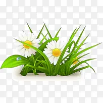 �ɹ���Ʒ�� ֲ�� ��-������