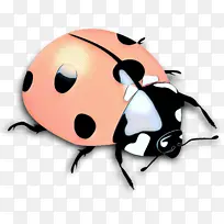 �������� ���� ư��-������