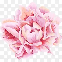 ˮ�� ���� ʪī-������