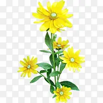 水彩画 颜料 湿墨-空若网 水彩画 颜料 湿墨-空若网