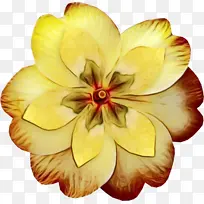 ˮ�ʻ� ���� ʪī-������