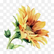 水彩画 颜料 湿墨-空若网 水彩画 颜料 湿墨-空若网