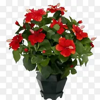 水彩 颜料 湿墨-空若网 水彩 颜料 湿墨-空若网