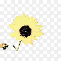 波普艺术 复古 花卉-空若网 波普艺术 复古 花卉-空若网