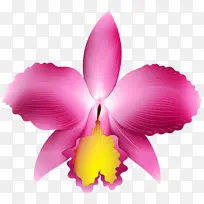 水彩画 颜料 湿墨-空若网 水彩画 颜料 湿墨-空若网