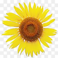 水彩画 颜料 湿墨-空若网 水彩画 颜料 湿墨-空若网