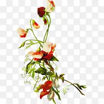 水彩 油漆 湿墨-空若网 水彩 油漆 湿墨-空若网