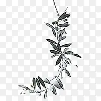 叶 植物 花-空若网 叶 植物 花-空若网