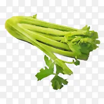 ˮ�� ���� ʪī-������