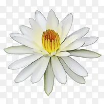 水彩 颜料 湿墨-空若网 水彩 颜料 湿墨-空若网