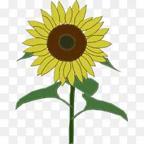 ˮ�ʻ� ���� ʪī-������