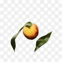 ˮ�ʻ� ���� ʪī-������