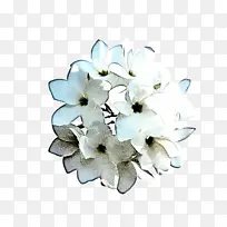 白色 花瓣 花朵-空若网 白色 花瓣 花朵-空若网