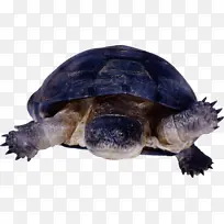 Ë®²Ê» ÑÕÁÏ ÊªÄ«-¿ÕÈôÍø Ë®²Ê» ÑÕÁÏ ÊªÄ«-¿ÕÈôÍø