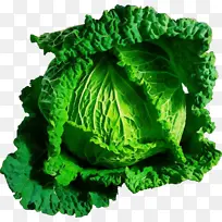 ˮ�ʻ� ���� ʪīˮ-������