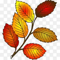 卡通 叶子 植物-空若网 卡通 叶子 植物-空若网