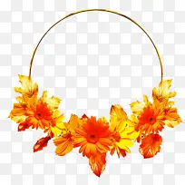 ��ɫ ��ɫ ���޾�-������