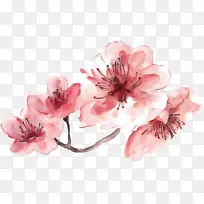 花朵 粉色 花瓣-空若网 花朵 粉色 花瓣-空若网