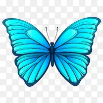 飞蛾和蝴蝶 蝴蝶 昆虫-空若网 飞蛾和蝴蝶 蝴蝶 昆虫-空若网