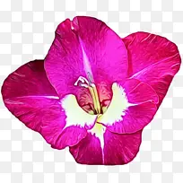 水彩 颜料 湿墨-空若网 水彩 颜料 湿墨-空若网