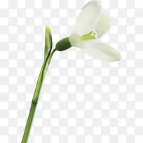 ˮ�ʻ� ���� ʪī-������