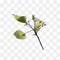 水彩画 颜料 湿墨-空若网 水彩画 颜料 湿墨-空若网