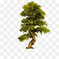 水彩 油漆 湿墨-空若网 水彩 油漆 湿墨-空若网