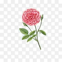 ˮ�� ���� ʪī-������