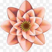 花瓣 花 植物-空若网 花瓣 花 植物-空若网