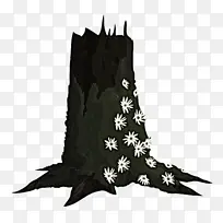 Ҷ�� �� ֲ��-������