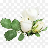 水彩 颜料 湿墨-空若网 水彩 颜料 湿墨-空若网