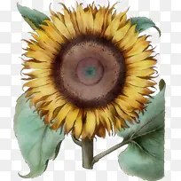 水彩画 颜料 湿墨-空若网 水彩画 颜料 湿墨-空若网