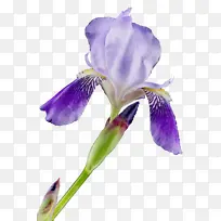 水彩画 颜料 湿墨-空若网 水彩画 颜料 湿墨-空若网