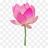 水彩 颜料 湿墨-空若网 水彩 颜料 湿墨-空若网