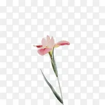 水彩 油漆 湿墨-空若网 水彩 油漆 湿墨-空若网