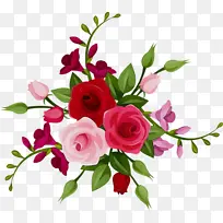 ˮ�ʻ� ���� ʪī-������