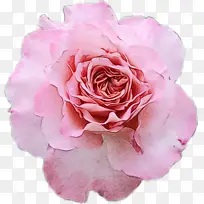 ˮ�� ���� ʪī-������