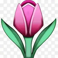 ˮ�� ���� ʪī-������