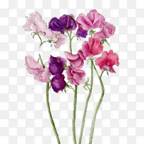 水彩 颜料 湿墨-空若网 水彩 颜料 湿墨-空若网